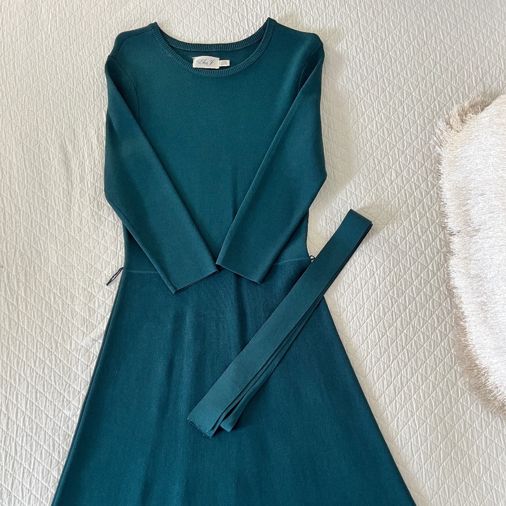 Eliza J. Fit and Flare Sweater Dress